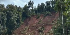 Perkembangan Situasi dan Penanganan Bencana Tanggal 24 Juni 2025